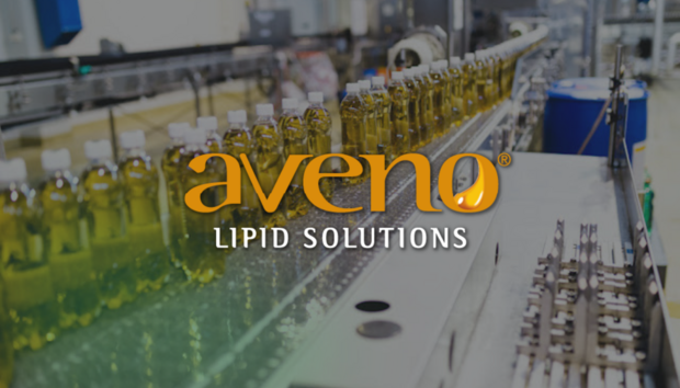 Aveno | referentie iFacto